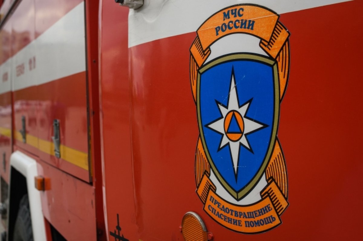 На пожаре в Комаричском районе Брянщины погиб мужчина